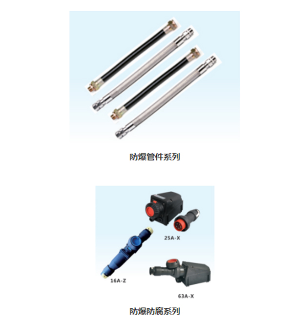 松北防爆电器有限公司将亮相cippe2021(图3)